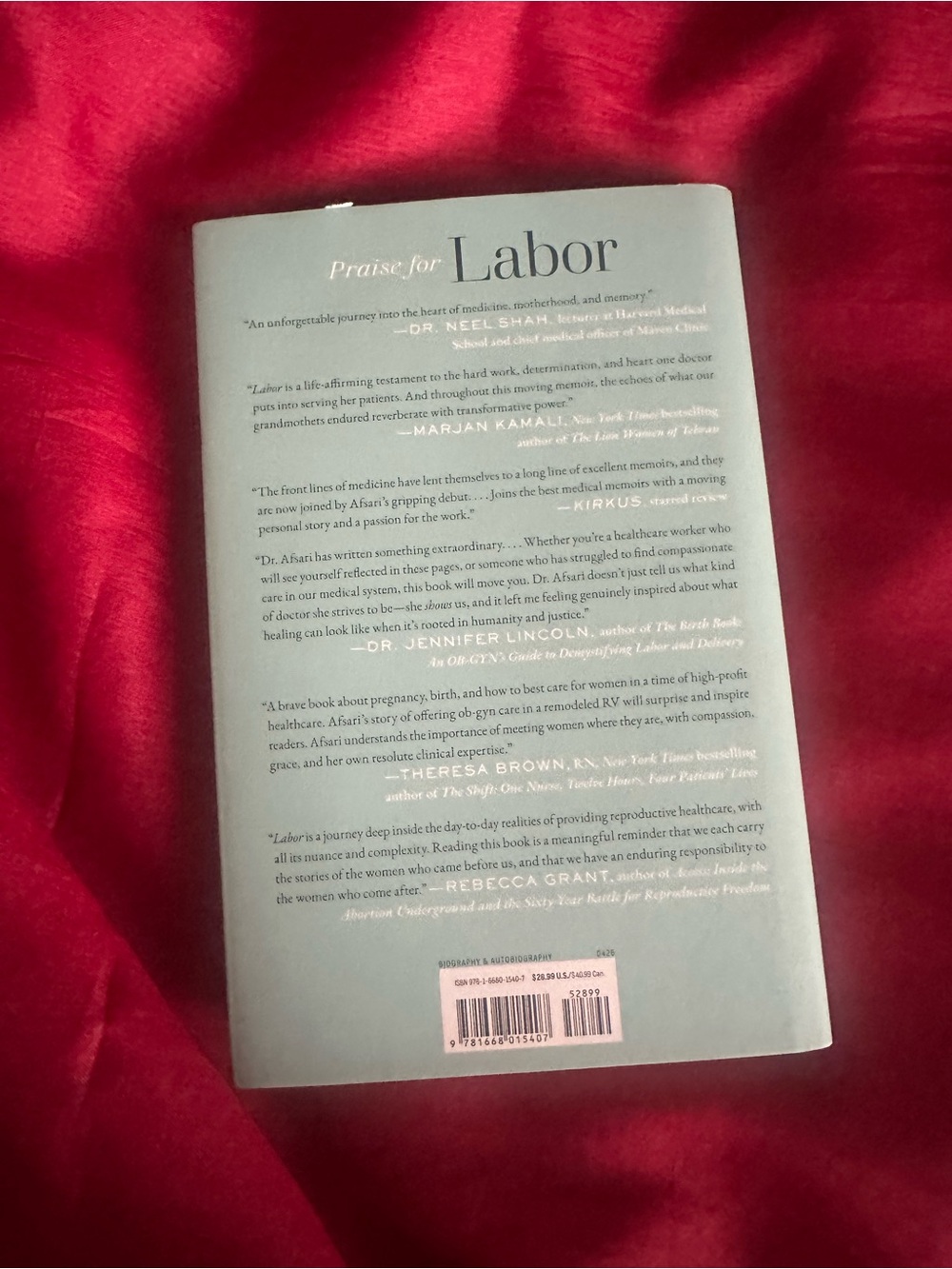 New! Labor: One Woman’s Work by Dr Mary Fariba Afsari (2026, Hardcover) - Picture 2 of 3